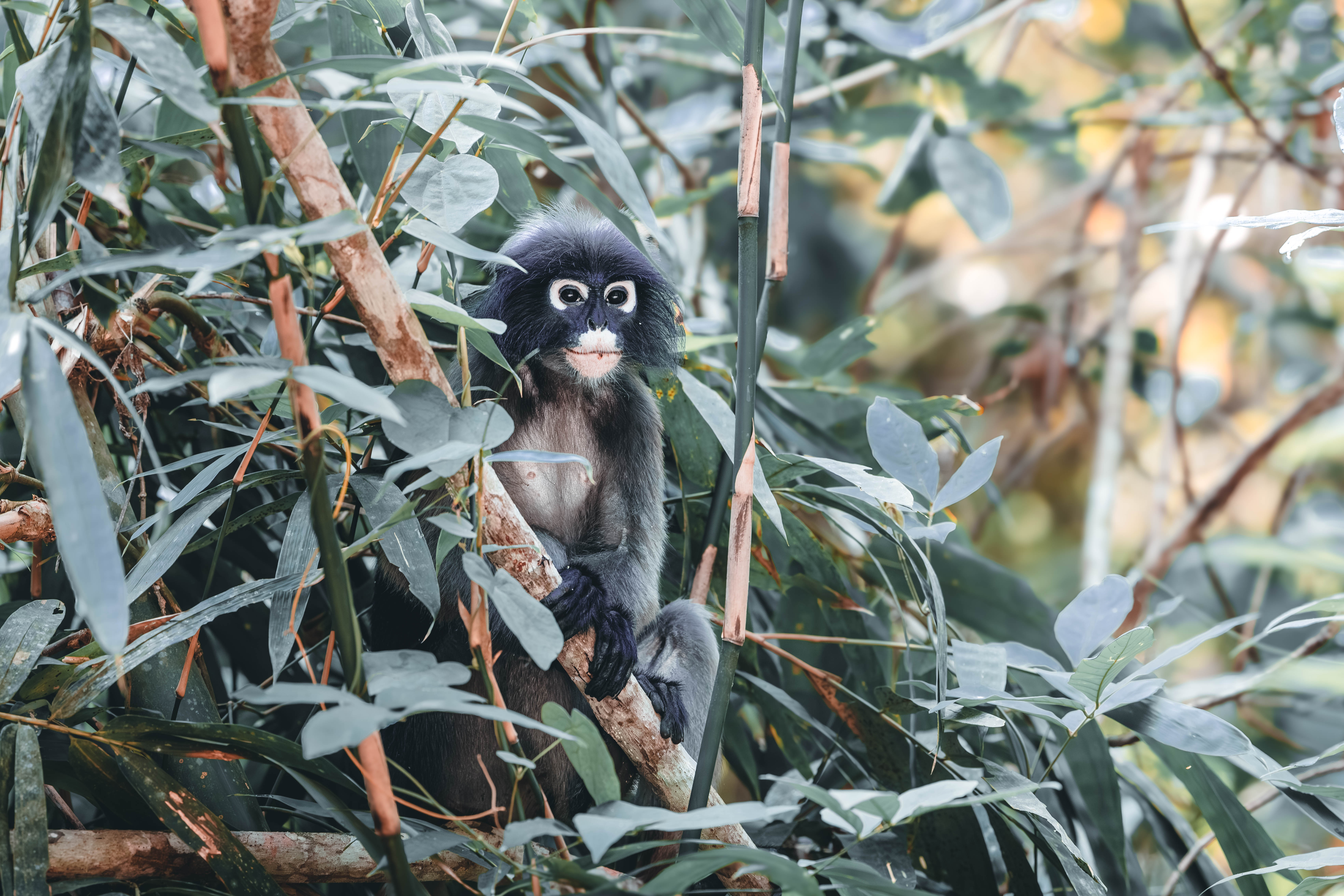 Hidden in Plain Sight